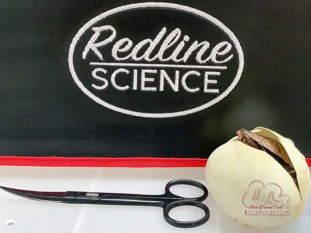Redline Science 5.5" Curved Fine Point Scissor - Image 3
