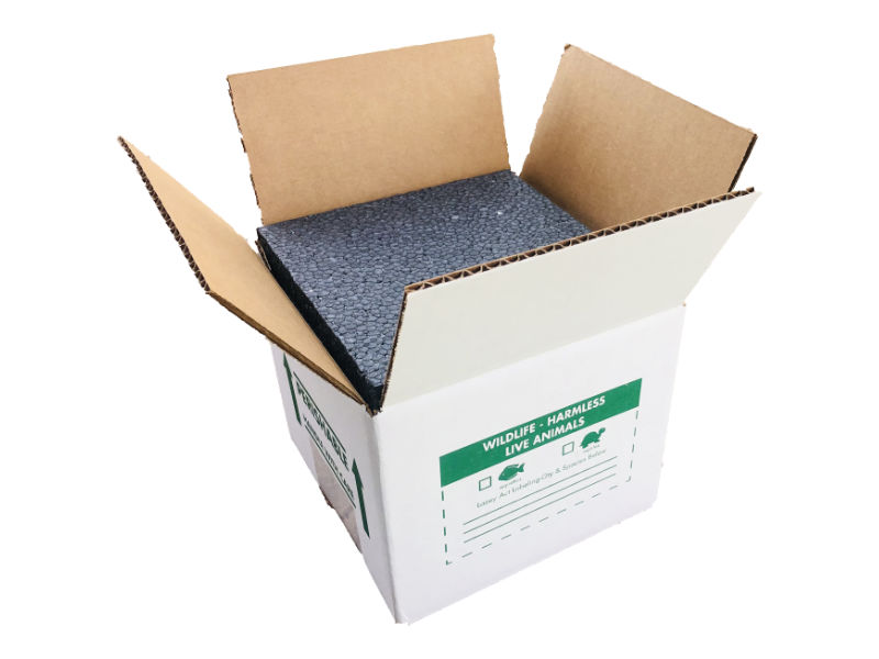 6 Cases 10"x10"x10" Insulated shipping Boxes 60 Total - Image 1