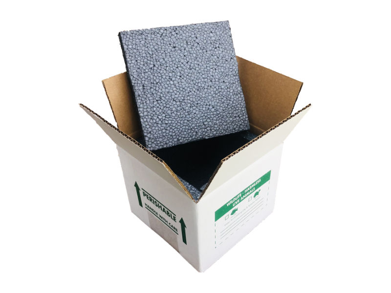 8"x8"x7" Insulated Shipping Boxes - Image 2