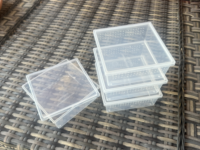 Square Deli Cup 12 oz. - solid lid - Image 3