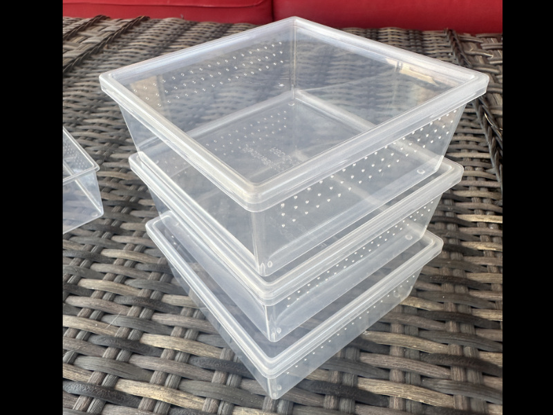 Square Deli Cup 12 oz. - solid lid - Image 2