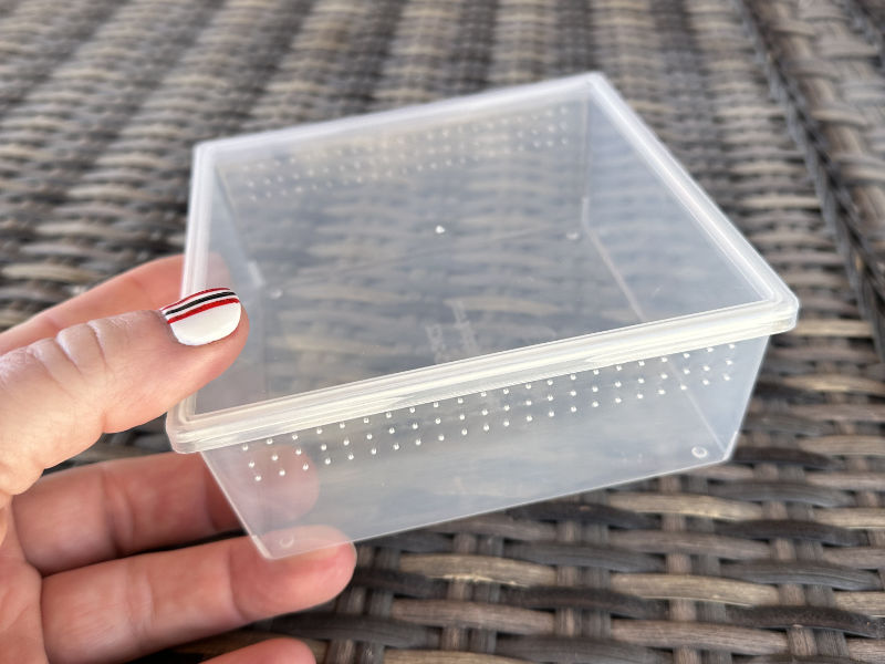 Square Deli Cup 24 oz. - solid lid - Image 3