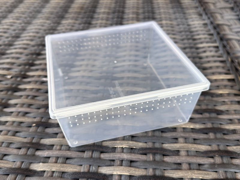 Square Deli Cup 24 oz. - solid lid - Image 4