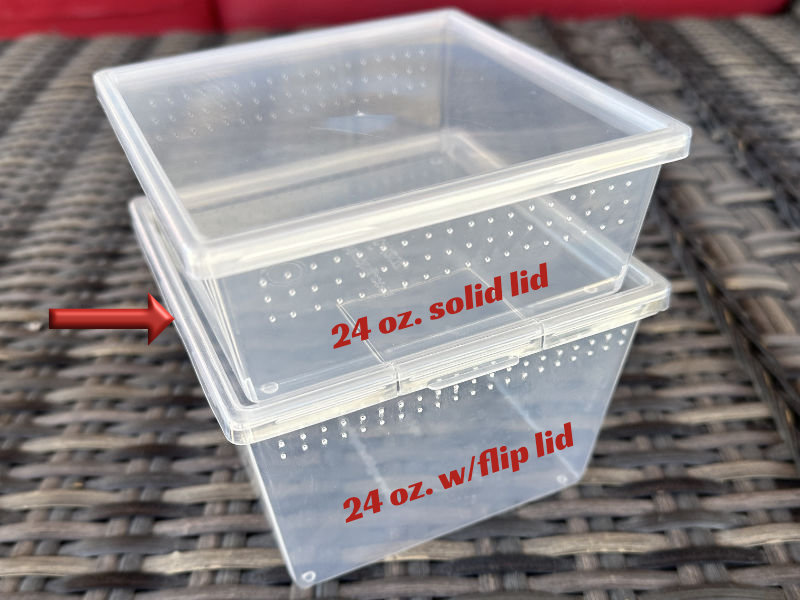 Square Deli Cup 24 oz. - solid lid - Image 2