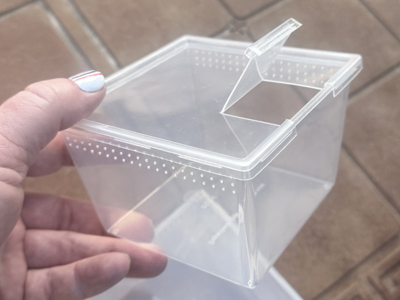 Square Deli Cup 24 oz. - w/flip lid - Image 4