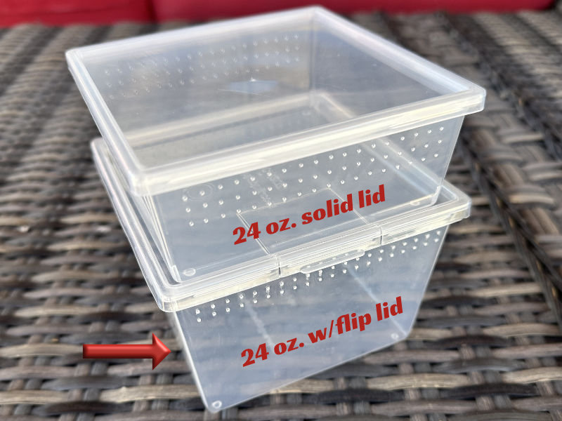 Square Deli Cup 24 oz. - w/flip lid - Image 2