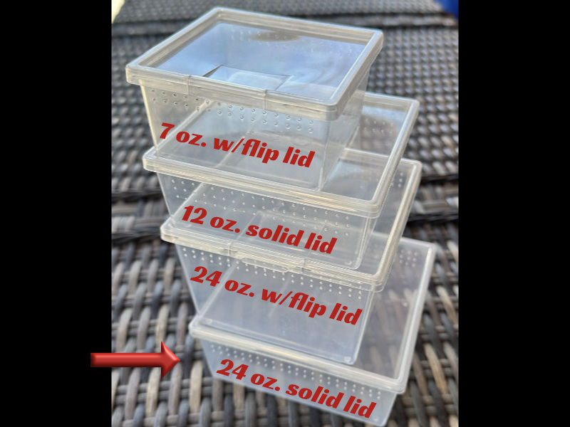 Square Deli Cup 24 oz. - solid lid