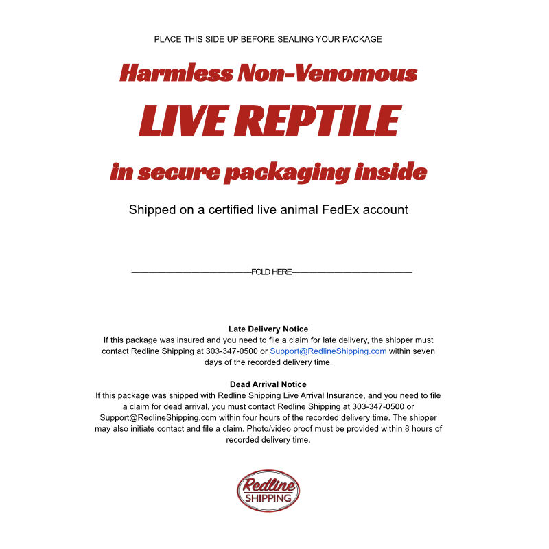 Live Reptile Label - Full Page - For the INSIDE of your box