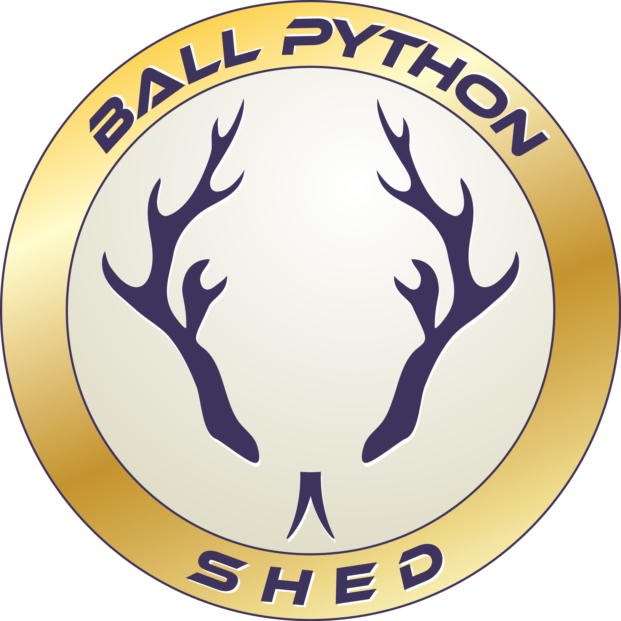 Josh@BallPythonShed